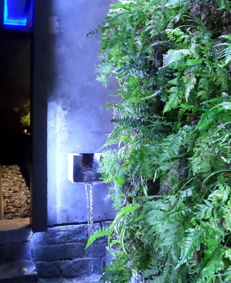 Développement des plantes du mur végétal Développement des plantes du mur végétal